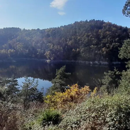 Relais Des Gorges De La Truyere *